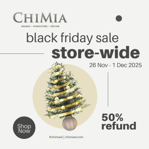 Black Friday Sale 2025